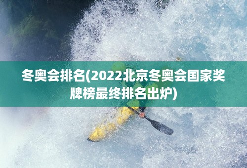 冬奥会排名(2022北京冬奥会国家奖牌榜最终排名出炉)
